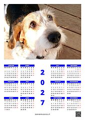 Fotokalender jährlich